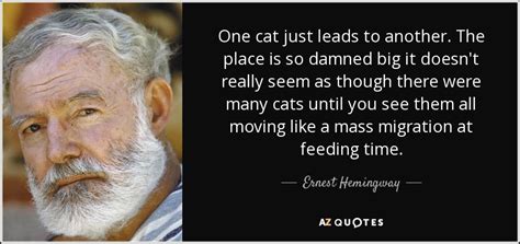 Ernest Hemingway quote: One cat just leads to another. The ...