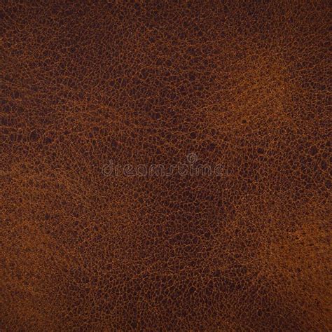 Claret Brown Cowhide Leather Armour Closeup Stock Photo Image Of