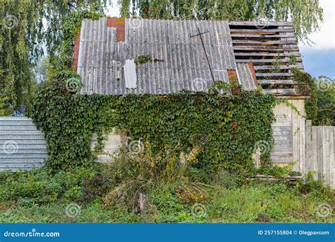 Building Abandoned House Overgrown with Green Leaves Stock Photo