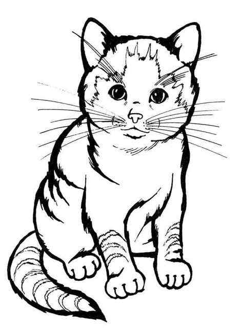 Realistic Cat Coloring Pages Printables Cat Coloring Page Kittens
