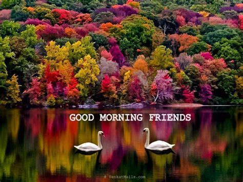Cliché an expression of farewell. Good Morning | Happy Monday Wishes | Have a great week ahead