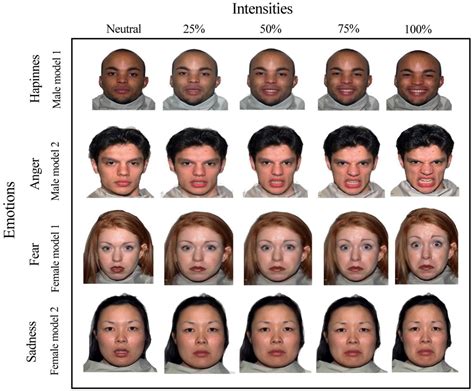 Frontiers Facial Emotion Recognition And Executive Functions In