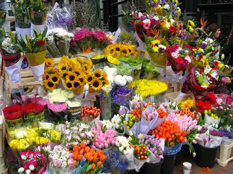 Dr. Patrick Patridge Tourism Marketing PR Frankfurt | Flower shop
