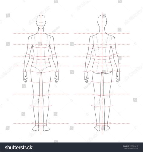 Womens Body Proportions Measurements Clothing Design Stock Vector