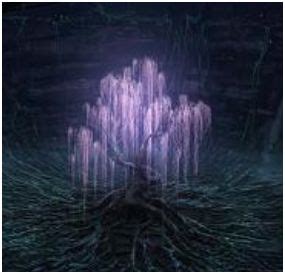 The people come hear to learn of eywa's wish. Sacred Trees - Eywa/Willow and Hometree/Ash - Tree of ...