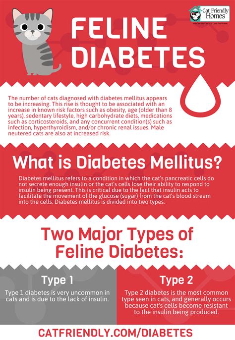 Diabetes Mellitus In Cats Catpedia