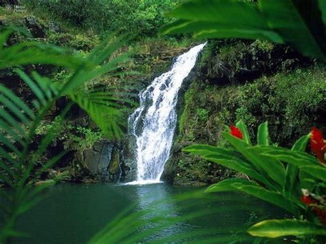 11 Amazing Waterfalls On Oahu Hawaii Hawaii Waterfalls Oahu