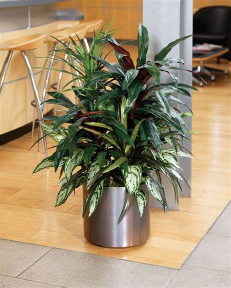 Largeartificialplantsforindoors Up Your Decor With Artificial