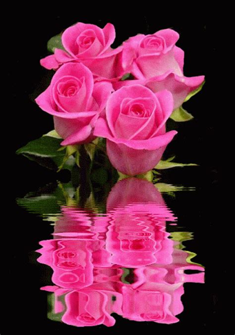 Decent Image Scraps Animated Roses