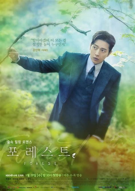 Sinopsis Drama Forest Pertemuan Park Hae Jin Dan Jo Bo Ah Di Hutan Misterius