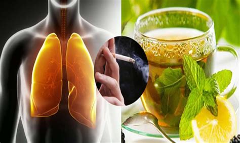 this recipe will easily clear your lungs in 3 days even if you smoke for more than 5 years