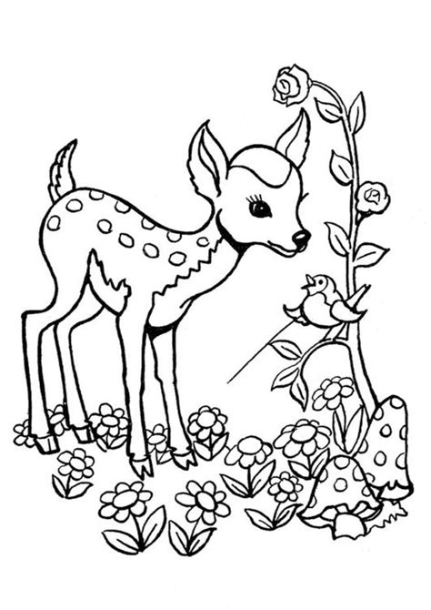 Free & easy to print deer coloring pages