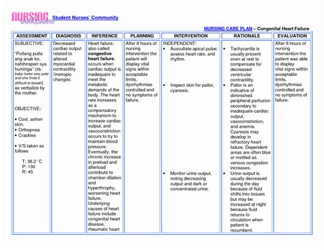 30 Nursing Care Plan In 2020 Nursing Care Plan Teachi