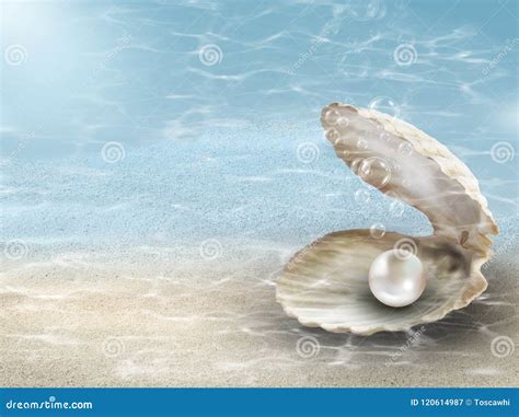 Oyster Pearl In Shell With Bubbles And Concept Seaweed Under The Sea
