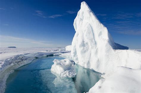 Arctic Sea Ice Melting Canada Photograph By Louise Murray