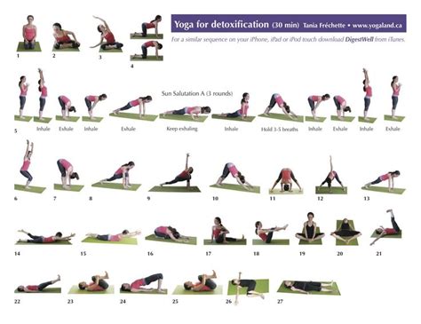 Then, try a beginner flow yoga sequence as you explore this contemporary style. Best 25+ Yoga sequences ideas on Pinterest | Beginner yoga ...