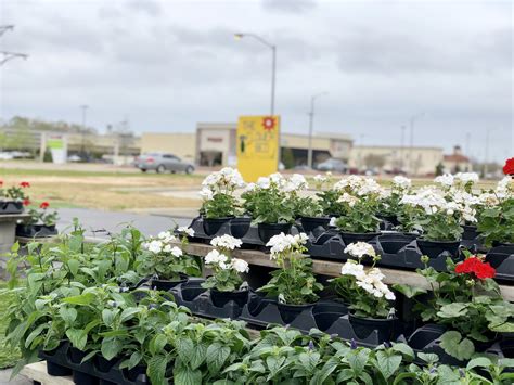 We also deliver to richmond, new orleans, albany, baton rouge and across usa. The Flower Bed Relocates To New Property Fronting At Home ...