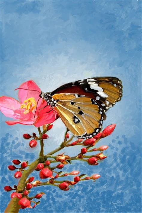 Edit gambar sketsa kupu kupu berikut ini merupakan contoh jika kamu ingin mempraktekkanya sendiri, pastinya gambar sketsa berikut ini akan lebih indah jika kamu yang mewarnai. Gambar Bunga Dan Kupu Bergerak - Gambar Bunga HD