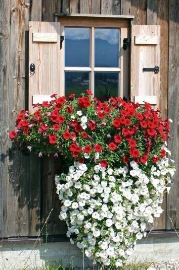 Soporte para masetas colgantes mensulas plantas soportes. Flores colgantes para balcón: fotos plantas (Foto 16/26 ...