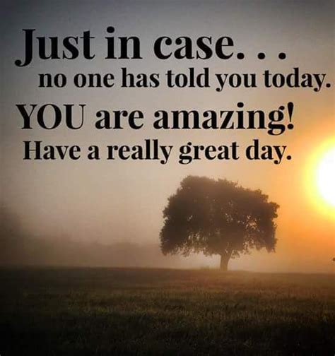 Just In Case No One Has Told You Today You Are Amazing Have A