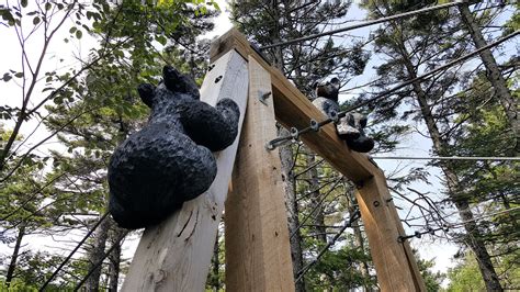 Bear Carvings At Lost River Gorge Livin Life With Lori