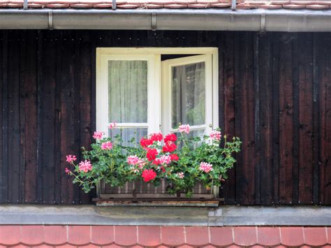 Spruce Up Your Homes Exterior With Fashionable Functional Window