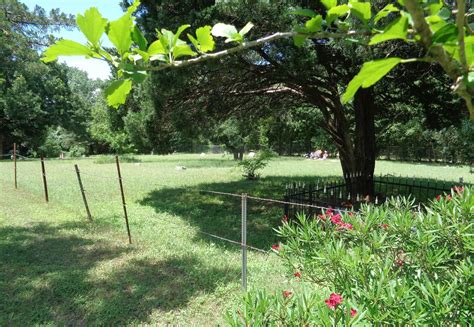 Kleberg Cemetery in Kleberg, Texas - Find a Grave Cemetery