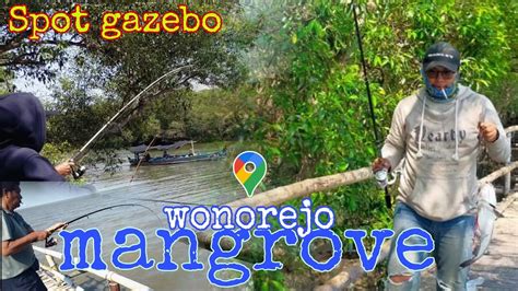 Spot Mancing Mangrove Wonorejo Pertama Kali Coba Langsung Ketagihan