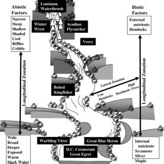 Maybe you would like to learn more about one of these? (PDF) Avian Community Characteristics and Riparian Habitats