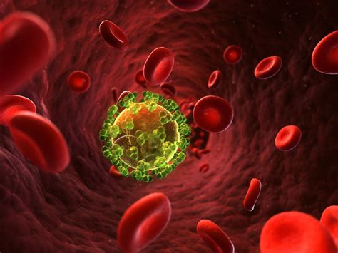 Hiv Infected Cells Evade Immune System By Sugar Molecule