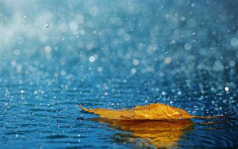 Rain 3d Wallpapers Wallpaper Cave