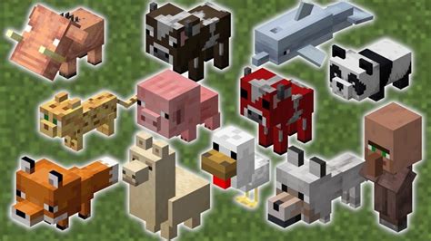 Best Animals In Minecraft Where To Find And How To Tame Them