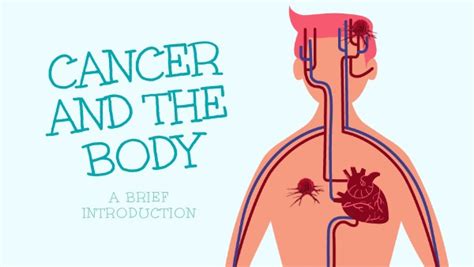 Cancer And The Human Body