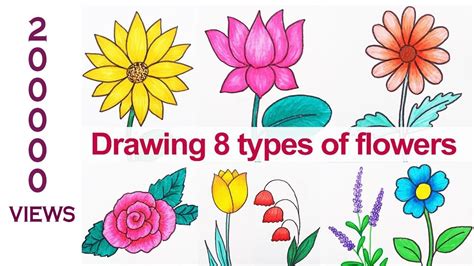 Drawing 8 Types Of Flowers How To Draw Flowers In Simple Steps How