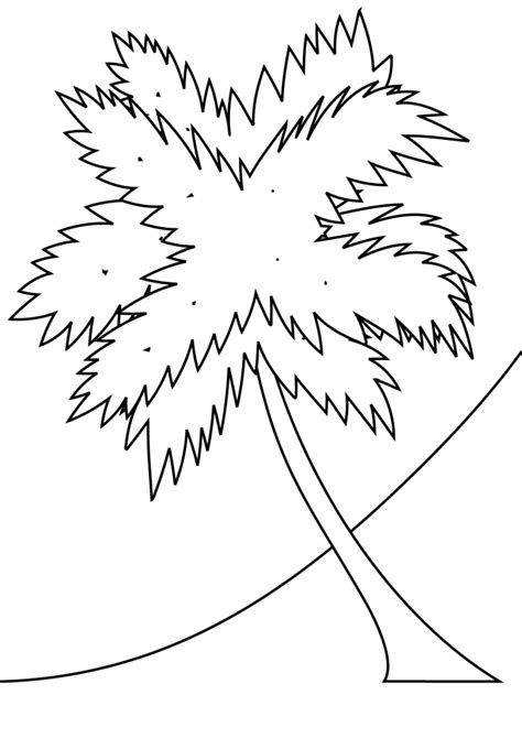 printable palm leaf coloring page palm tree coloring pages  kids  printable palm tree