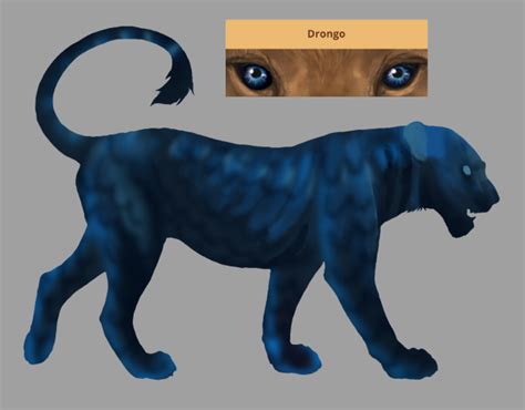 Bases Based Off The Eye Colors Lioden