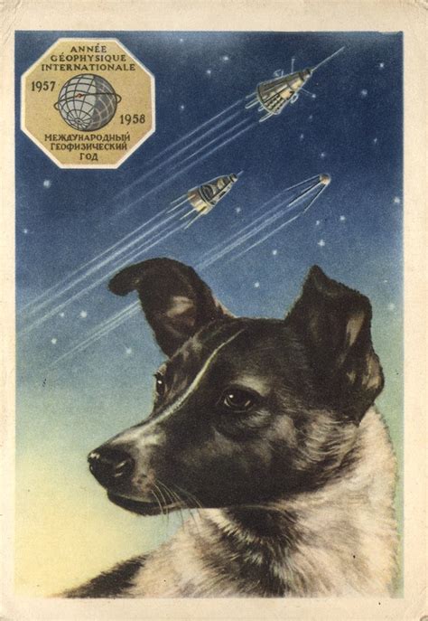 Soviet Space Dogs Laika Space Fan Art 40261417 Fanpop