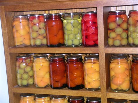 Preserve Fruit Fruit Preserving