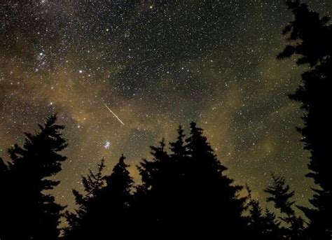 Look Way Up Tonight Annual Perseid Meteor Shower Reaching Its Peak Infonews Thompson