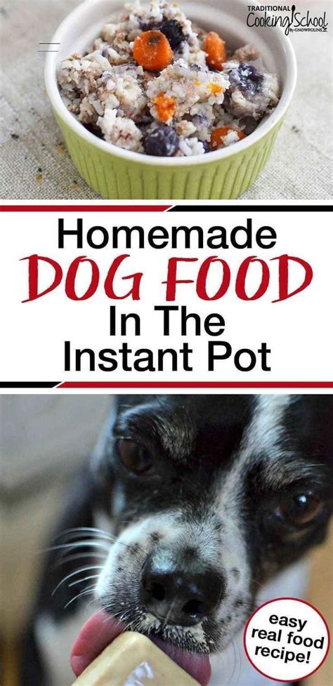 We are not sure what is going on, how this happened, or how long this has been happening without anyone knowing, but…please check your dog's food for recalls due to it potentially containing euthanasia drugs in it. Pet accessories #homemade #recipes #approved #instant ...