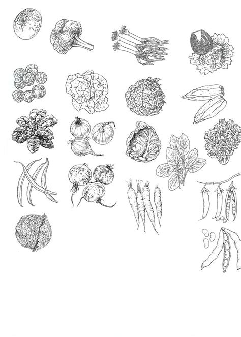 17 beste afbeeldingen over Dankdag/Biddag op Pinterest Zondagschool