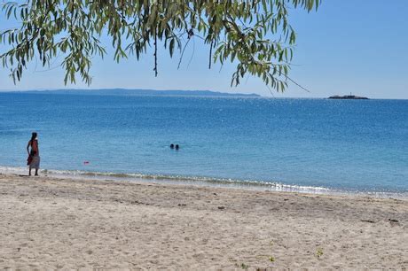 Check spelling or type a new query. Avşa Adasında Ne Nerede | Avşa adası Avşa Pansiyonları ...
