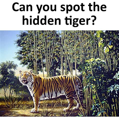 Can You Spot The Hidden Tiger Emviatame