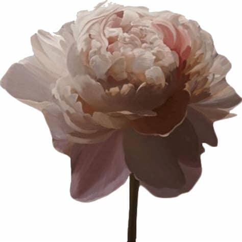 Download Transparent Aesthetic *source - Aesthetic Pink ...