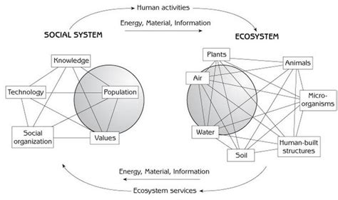 32 Best Images About Ecosystems Systems Thinking On Pinterest Rhode