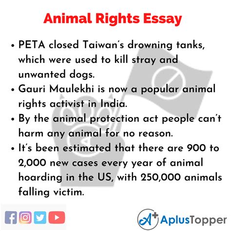 Do Animals Have Rights Essay Telegraph