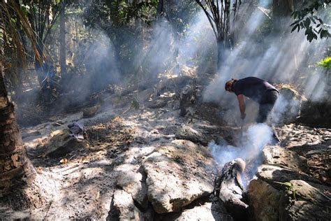 Perusahaan Pembakar Hutan Akan Dicabut Izin Usahanya Satu Harapan