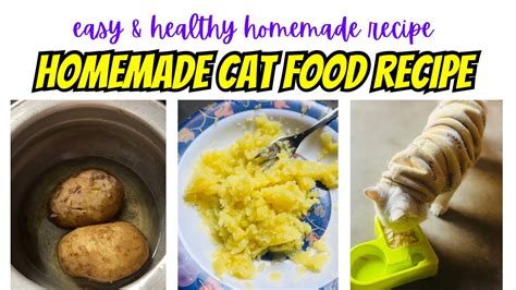 How To Make Homemade Cat Food In 10 Minutes How To Make Cheap