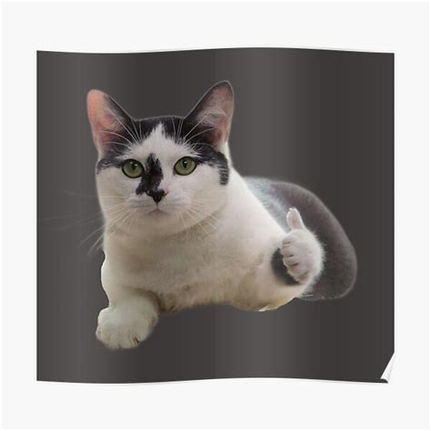 Cute Cat Holding Thumbs Up Memes Poster For Sale By Pusla Redbubble