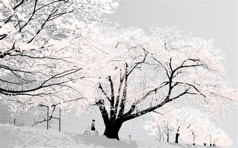 Sakura Tree Cherry Blossom Japan Bright Hd Wallpaper Wallpaper Flare